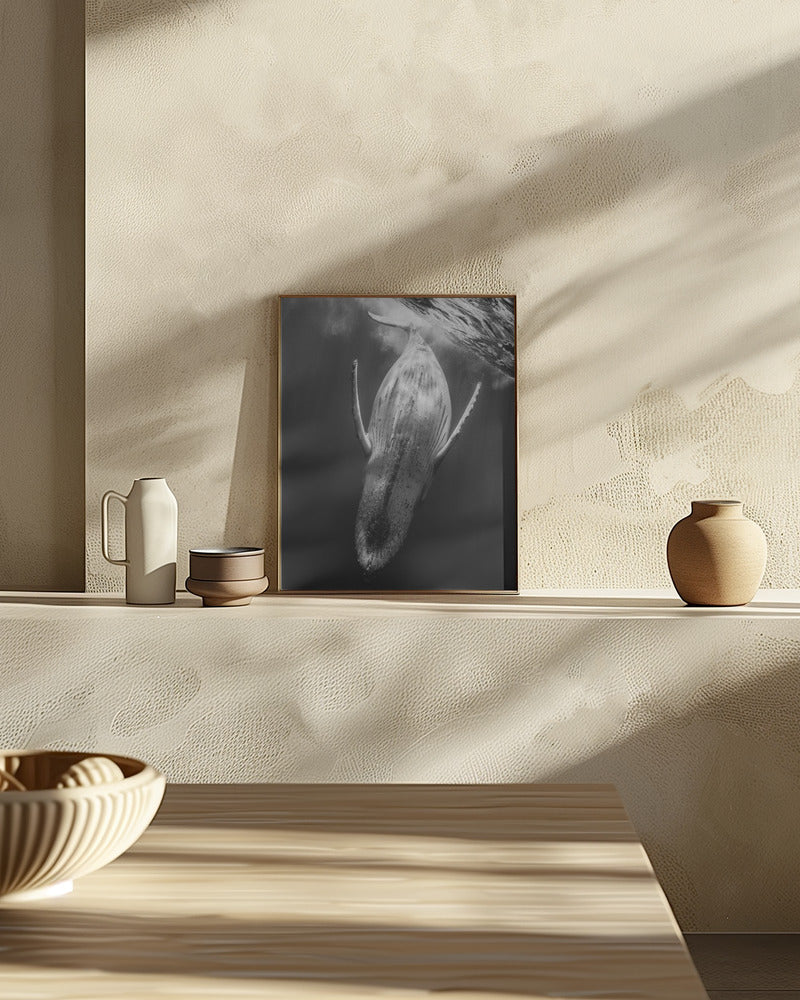 Black & Whale Poster